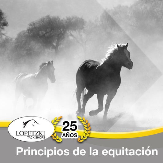 Principios de la equitación